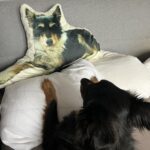Uw Eigen Custom Huisdieren Kussens photo review